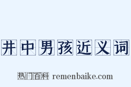 井中男孩近义词是什么意思的图片